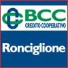 I controlli ispettivi del Garante tramite la Guardia di Finanza: l’accertamento presso istituti bancari. Attività e gestione delle visite ispettive I controlli ispettivi del Garante tramite la Guardia di Finanza: l’accertamento presso istituti bancari. Attività e gestione delle visite ispettive