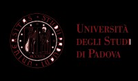 Il Diritto dell’Information & Communication Technology in Italia: profili giuridici e prospettive sociali Il Diritto dell’Information & Communication Technology in Italia: profili giuridici e prospettive sociali