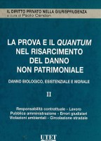 La prova e il quantum del risarcimento del danno non patrimoniale